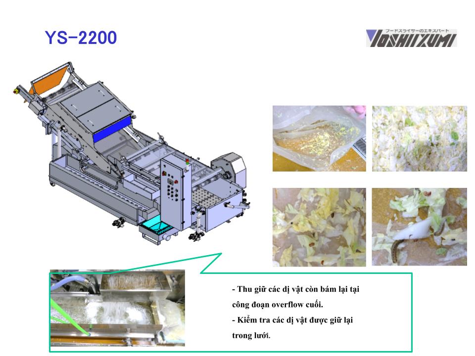 Đặc điểm nổi bật máy rửa rau công nghiệp Yoshiizumi YS-2200