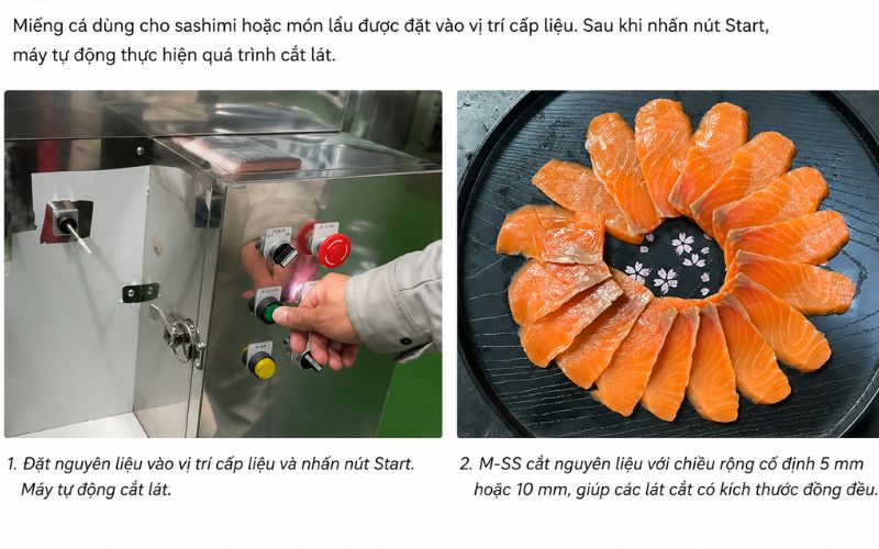 Asahi M-SS cắt cá tự động bằng nút Start