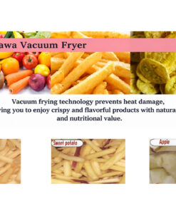 Applications of the Shinagawa VF Series Vacuum Fryer for fruits and vegetables